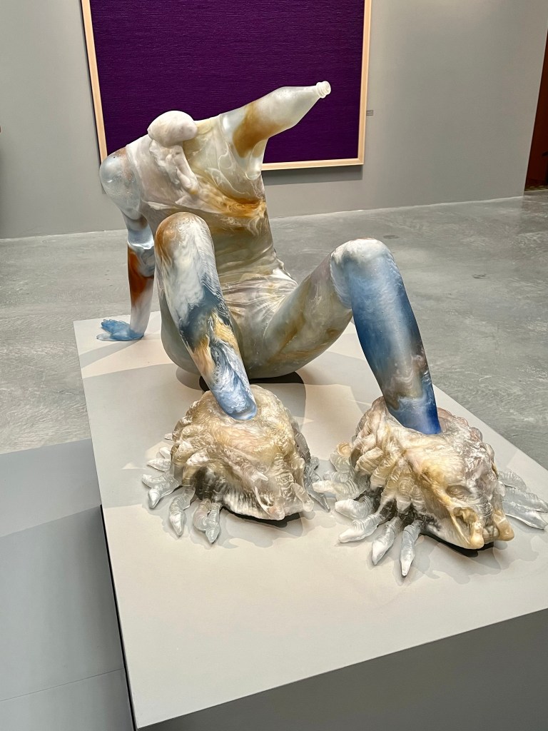 Fotografia di opere alla biennale di venezia 2022