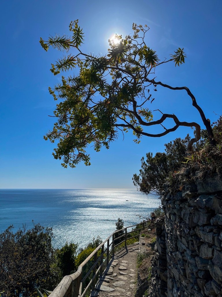 Fotografia del sentiero che collega corniglia a vernazza